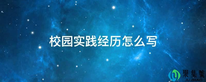 校园理论履历怎么写