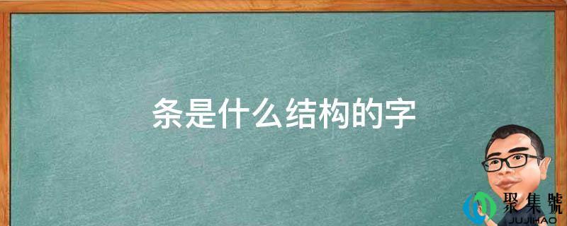 条是什么构造的字