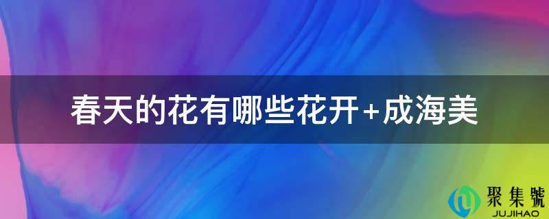春天的花有哪些花开 成海美