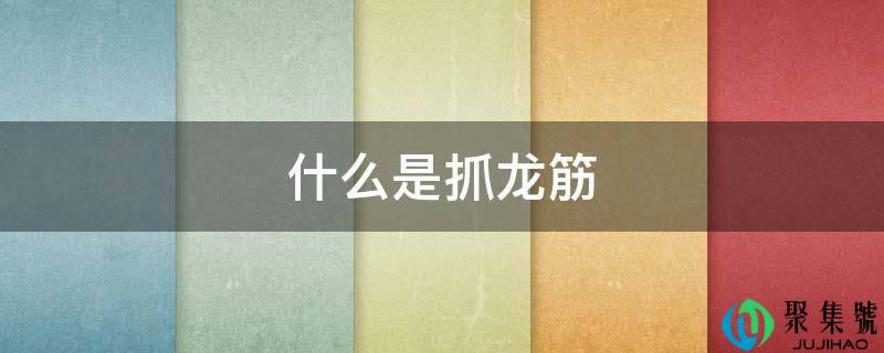 什么是抓龙筋