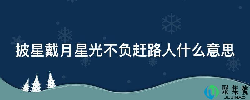 披星带月星光不负赶路人什么意思
