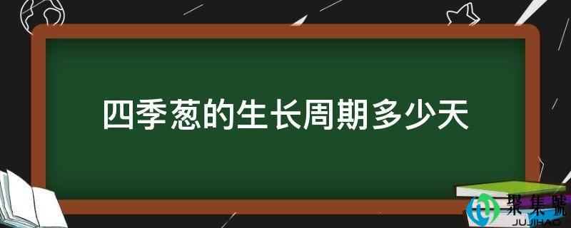 四时葱的生长周期几天