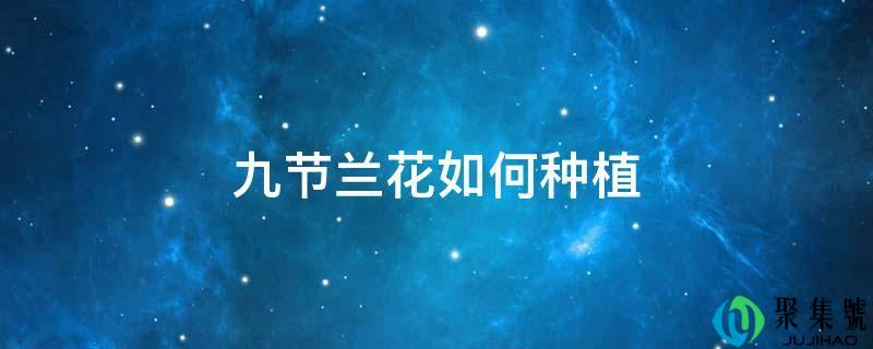 九节兰花若何种植