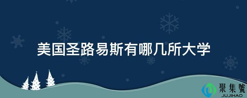 美国圣路易斯有哪几所大学