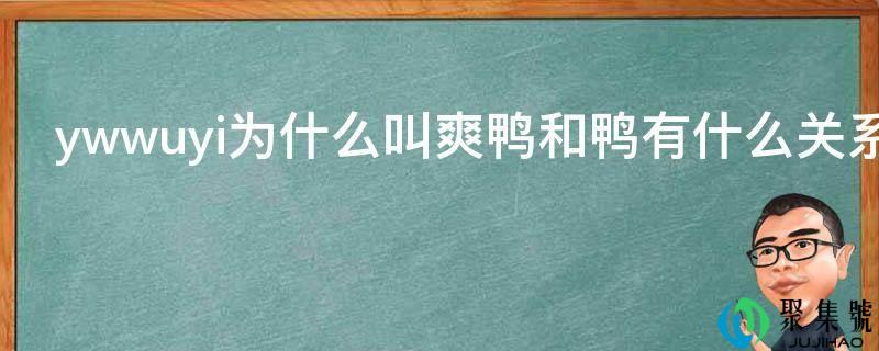 ywwuyi为什么叫爽鸭和鸭有什么关系