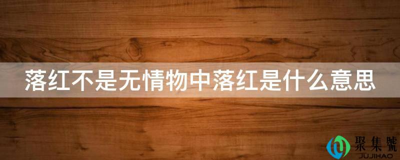 落红不是无情物中落红是什么意思