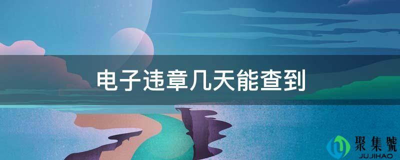 电子违章几天能查到
