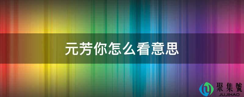 元芳你怎么看意思