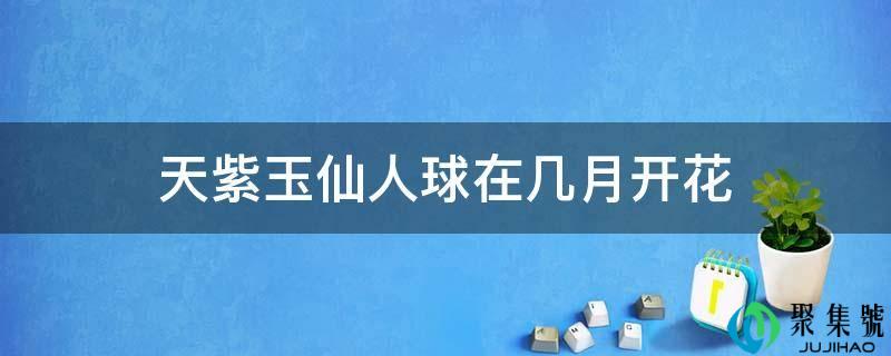 天紫玉仙人球在几月开花