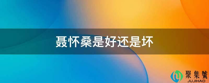 聂怀桑是好仍是坏