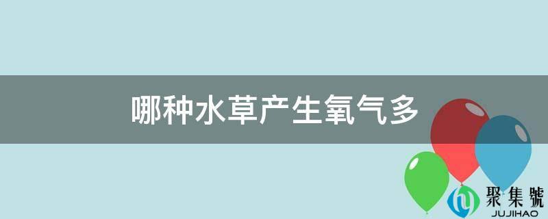 哪种水草产生氧气多