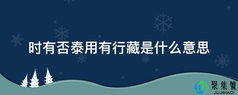 时有否泰用有行藏是什么意思