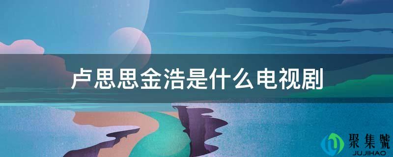 卢思思金浩是什么电视剧