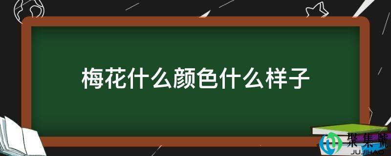 梅花什么颜色什么样子