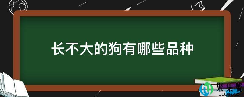 长不大的狗有哪些品种