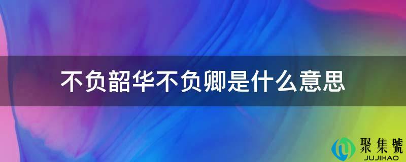 不负韶华不负卿是什么意思
