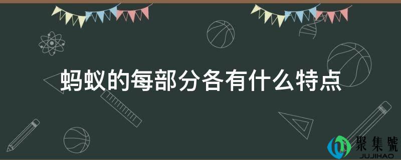 蚂蚁的每部门各有什么特点