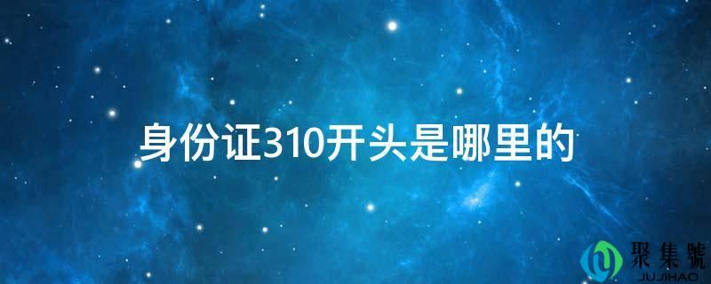 身份证310开头是哪里的