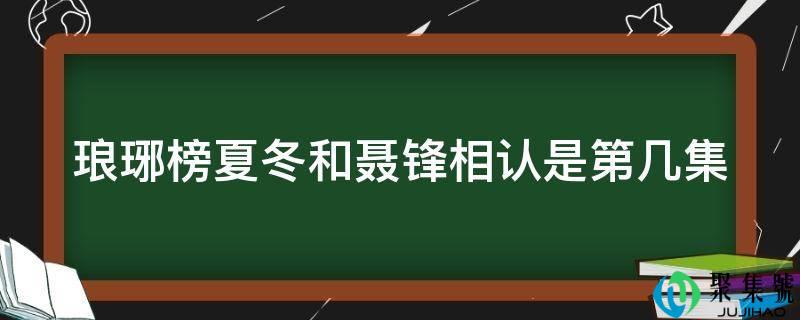 琅琊榜夏冬和聂锋相认是第几集