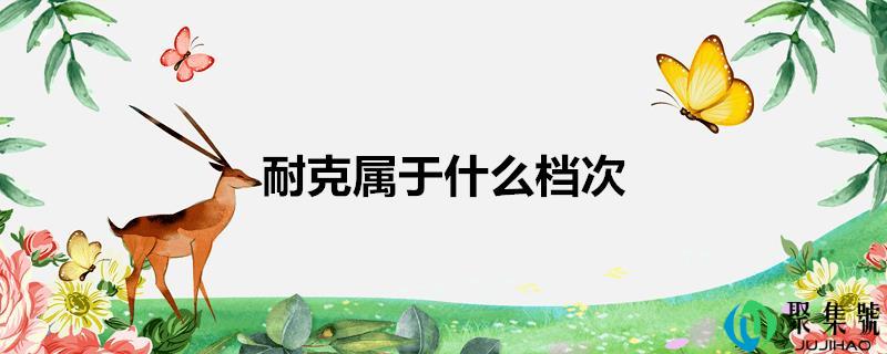 耐克属于什么层次