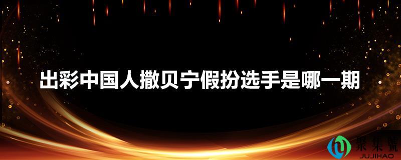 出彩中国人撒贝宁假扮选手是哪一期