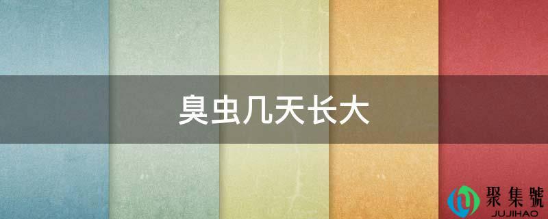 臭虫几天长大