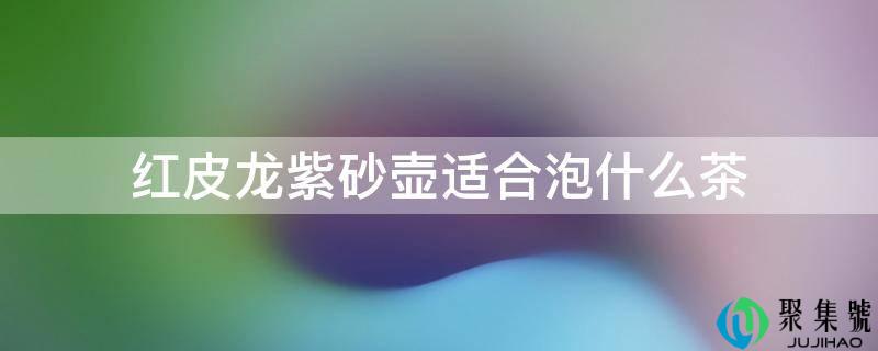 红皮龙紫砂壶合适泡什么茶
