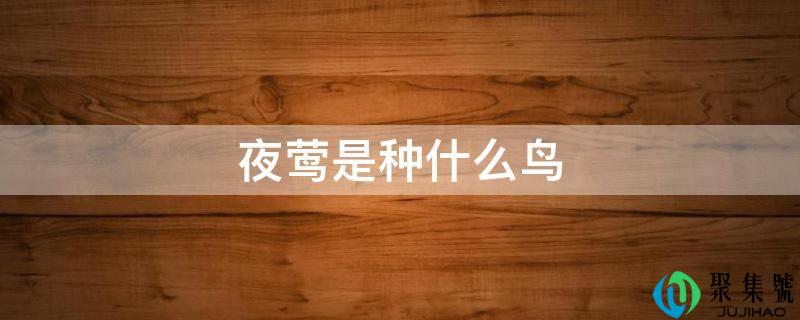 夜莺是种什么鸟