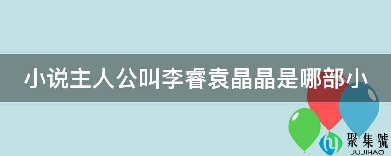 小说仆人公叫李睿袁晶晶是哪部小