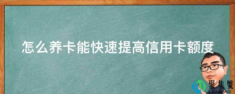怎么养卡能快速进步信誉卡额度