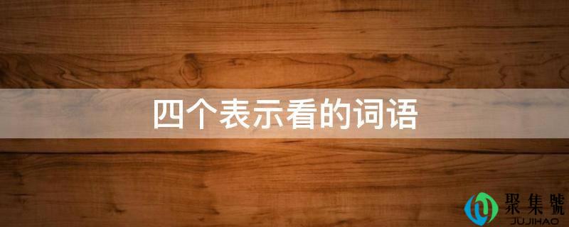 四个暗示看的词语