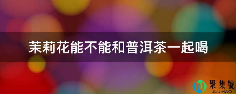茉莉花能不克不及和普洱茶一路喝