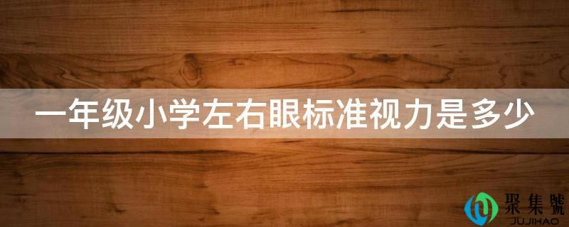 一年级小学摆布眼尺度目力是几