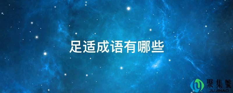 足适成语有哪些