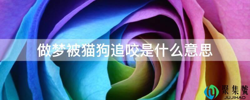 做梦被猫狗逃咬是什么意思