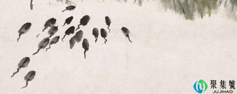 蝌蚪是吃什么的