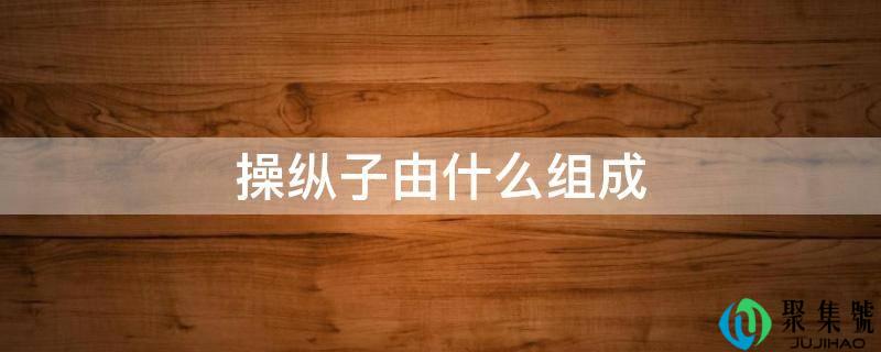 把持子由什么构成