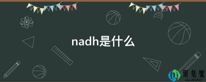 nadh是什么