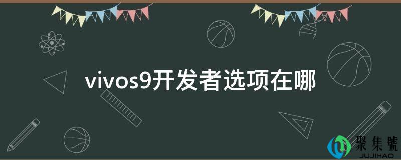 vivos9开发者选项在哪