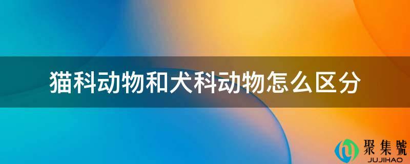 猫科动物和犬科动物怎么区分