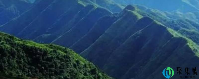 十万大山在广西哪里