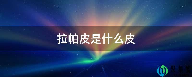 拉帕皮是什么皮