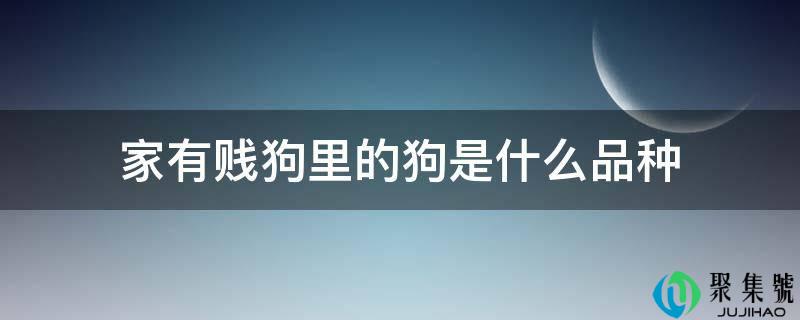 家有贱狗里的狗是什么品种