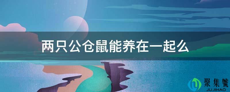 两只公仓鼠能养在一路么