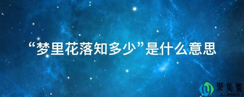 “梦里花落知几”是什么意思