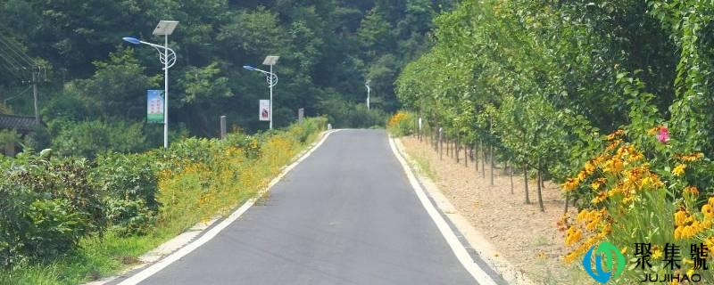 y是什么道路编号