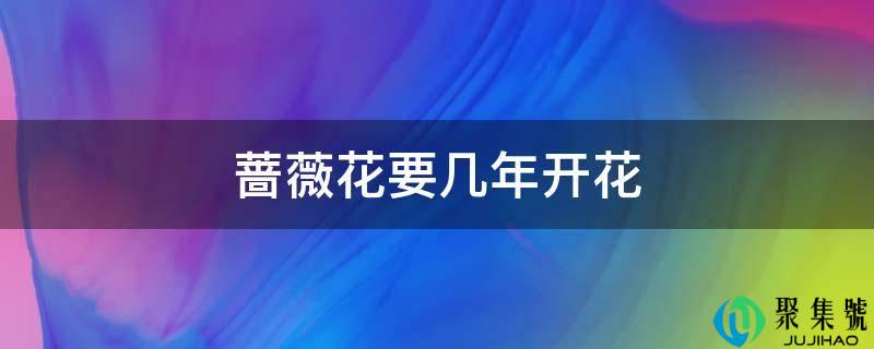 蔷薇花要几年开花
