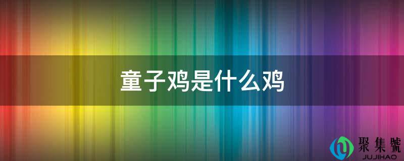 孺子鸡是什么鸡