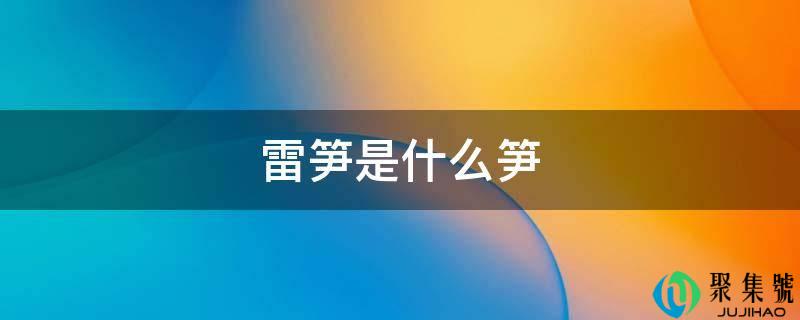 雷笋是什么笋