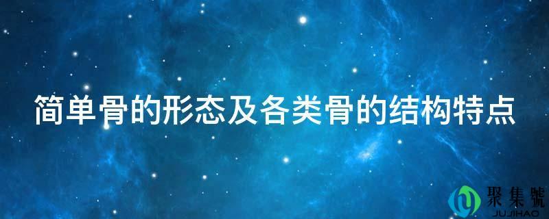 简单骨的形态及各类骨的构造特点